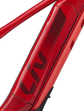 Giant/ Liv Side Panel Für EnergyPak 500 Wh Downtube Side Release Akku 12 Giant/ Liv Side Panel Für EnergyPak 500 Wh Downtube Side Release Akku – Bild 12