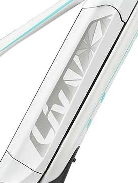 Giant/ Liv Side Panel Für EnergyPak 500 Wh Downtube Side Release Akku 10 Giant/ Liv Side Panel Für EnergyPak 500 Wh Downtube Side Release Akku – Bild 10