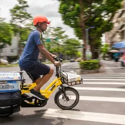 TERN Kindersitzbank "Clubhouse+" Für Tern GSD -E-Bike Zubehör Verkaufsladen tern clubhouse plus am tern gsd montiert im einsatz