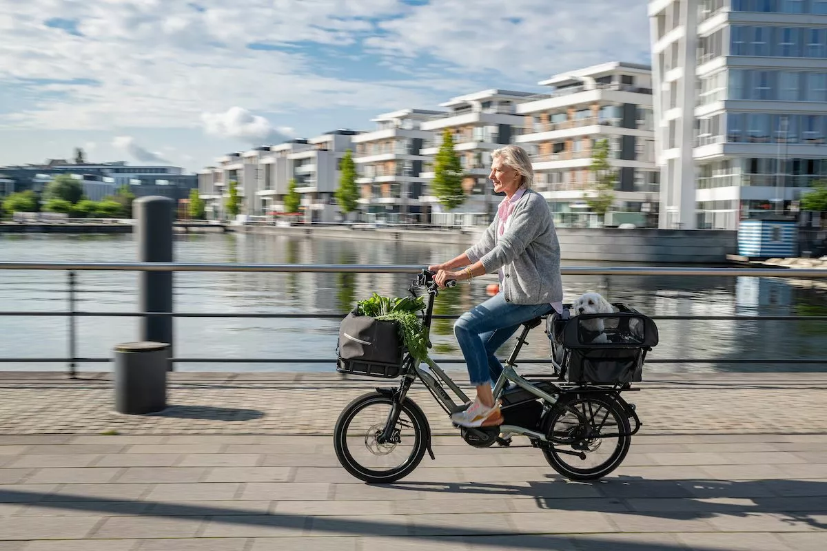 Tern Dog Roof Mini 1 Tern Dog Roof Mini