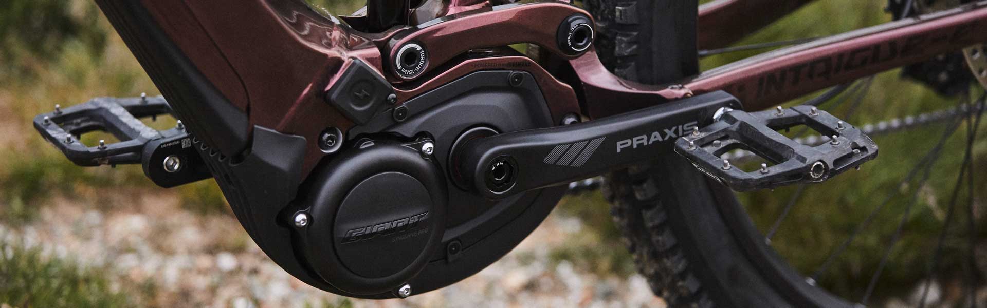 E-Bike Zubehör Verkaufsladen 2 E-Bike Zubehör Verkaufsladen -E-Bike Zubehör Verkaufsladen EBikeGear